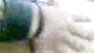 একটি সেক্সি বাংলাদেশী চোদাচুদির ভিডিও গাধা সঙ্গে একটি চতুর ছোট ল্যাটিনা তার স্বর্ণকেশী এবং তার প্রেমিকা সঙ্গে আছে